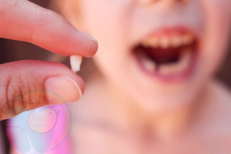 علت در نیامدن دندان بعد از افتادن دندان شیری چیست؟